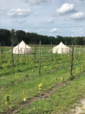 Natuur-Like Glamping In Bosland NeerNeerpelt Exterior foto