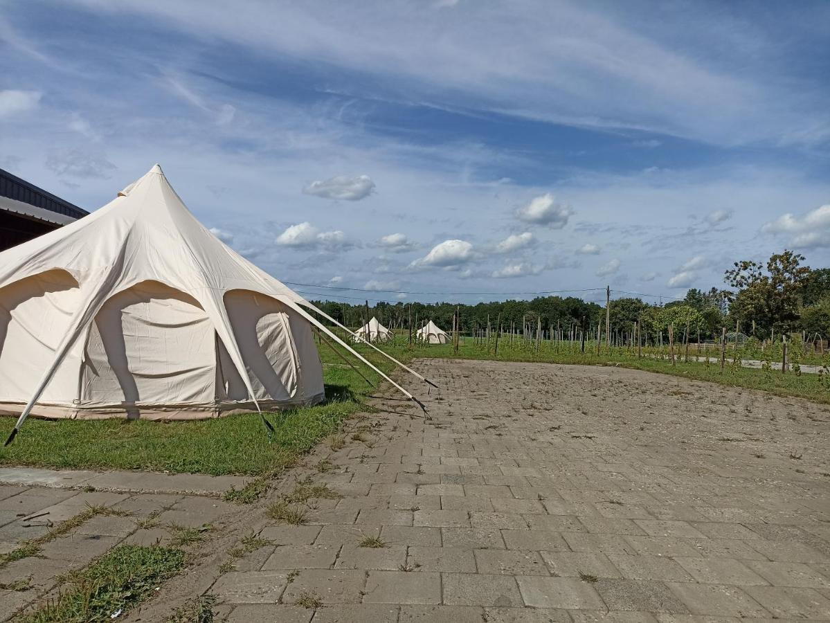 Natuur-Like Glamping In Bosland NeerNeerpelt Exterior foto